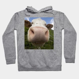 Funny Cow Big Nose Humor Gift Hoodie